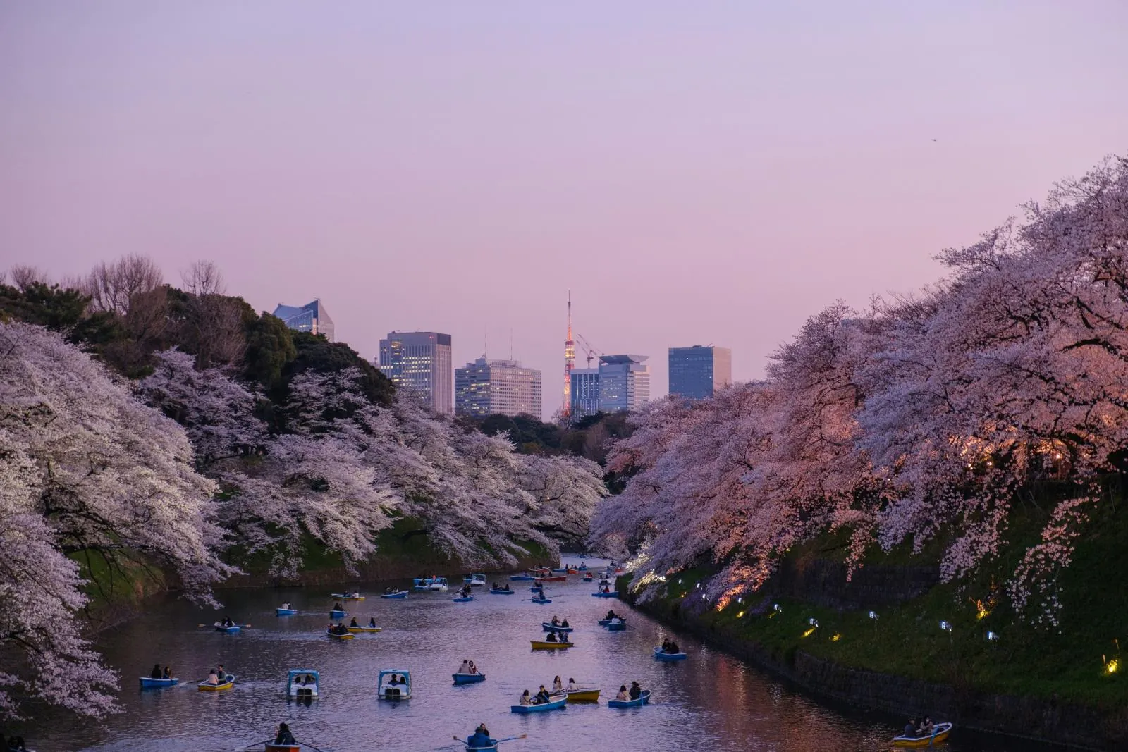 Tokio bij nacht — wat kost een reis naar Japan