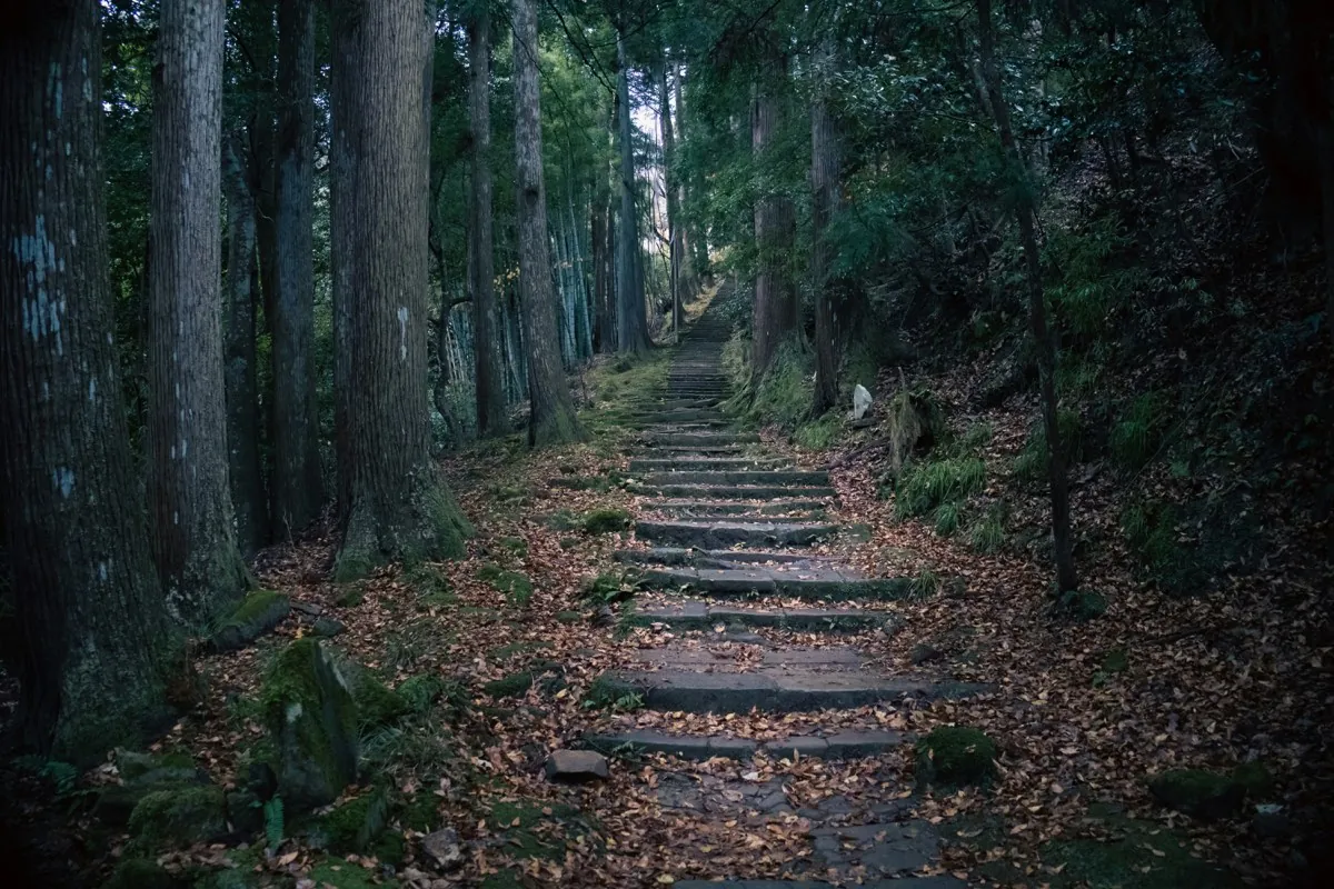 Stenen pad tussen ceders naar de Onsenji-tempel in Kinosaki