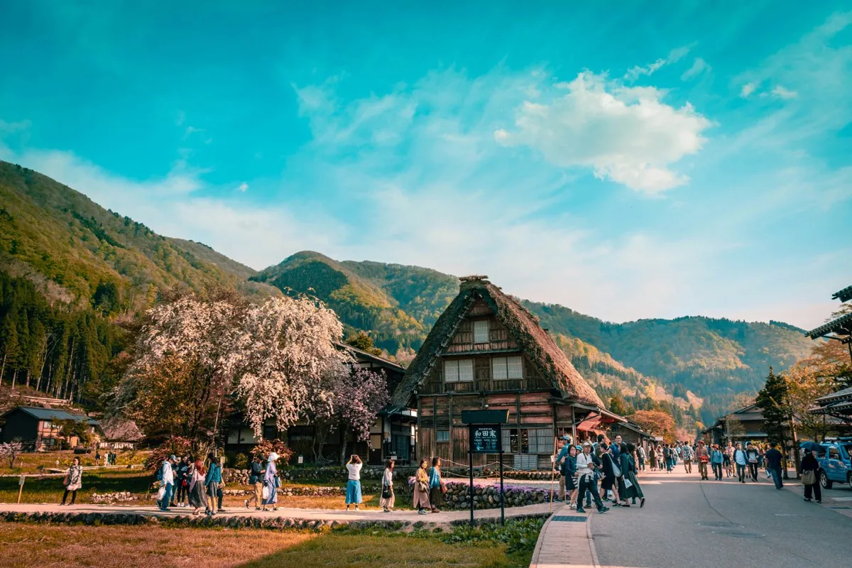 Gassho-zukuri-huis met rieten dak in Shirakawa-go met bergen en bloeiende kersenboom