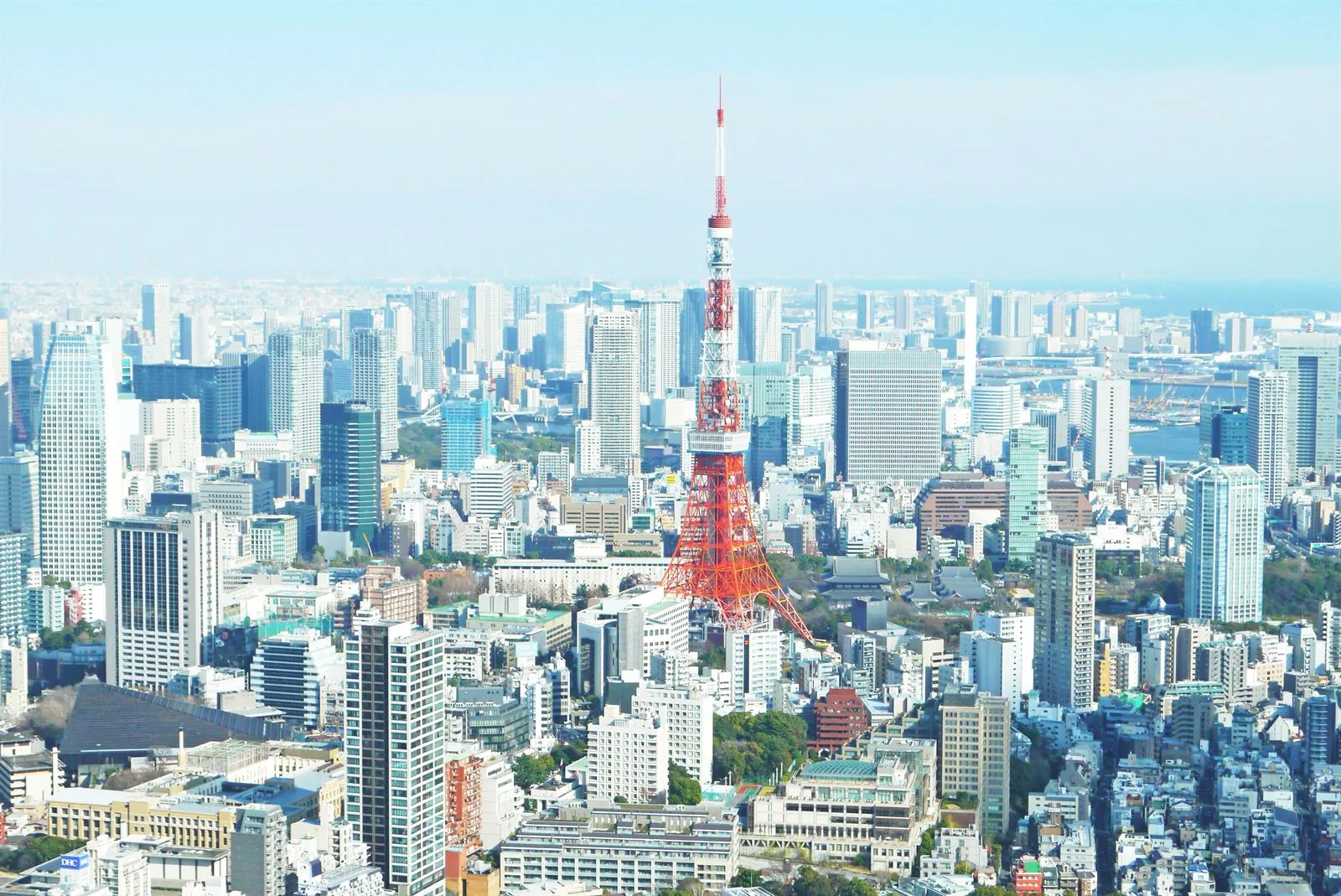 Reisgids voor Tokio: wat te zien, wijken en praktische tips